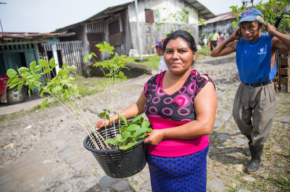 How Women Play a Key Role in Addressing Climate Change How Women Play a Key Role in Addressing Climate Change